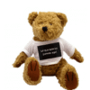 Oso teddy personalizado 18cm personalizado