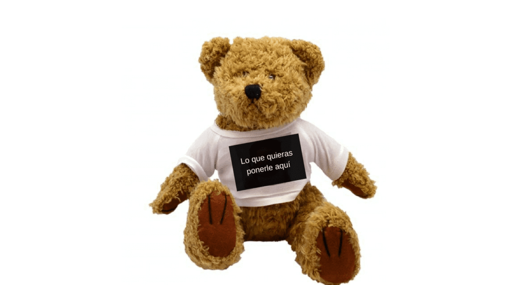 Oso teddy personalizado 18cm personalizado