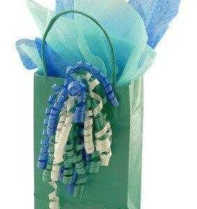 teal gift bag