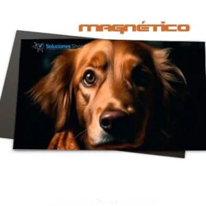 Foto Magneto cuadrado 10x15cm Personalizado al gusto