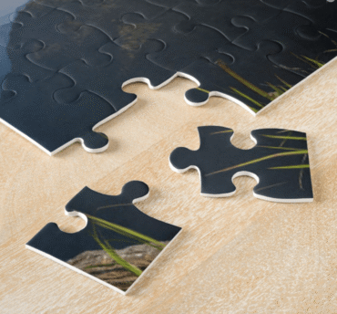 Puzzle de 300 piezas personalizado Rompecabezas con tu diseño