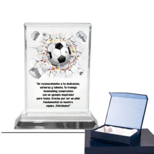 Reconocimiento de cristal Rectangular Personalizado