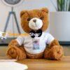 Osito de Peluche con Camiseta Personalizada – Regalo Perfecto con Tu Diseño o Mensaje