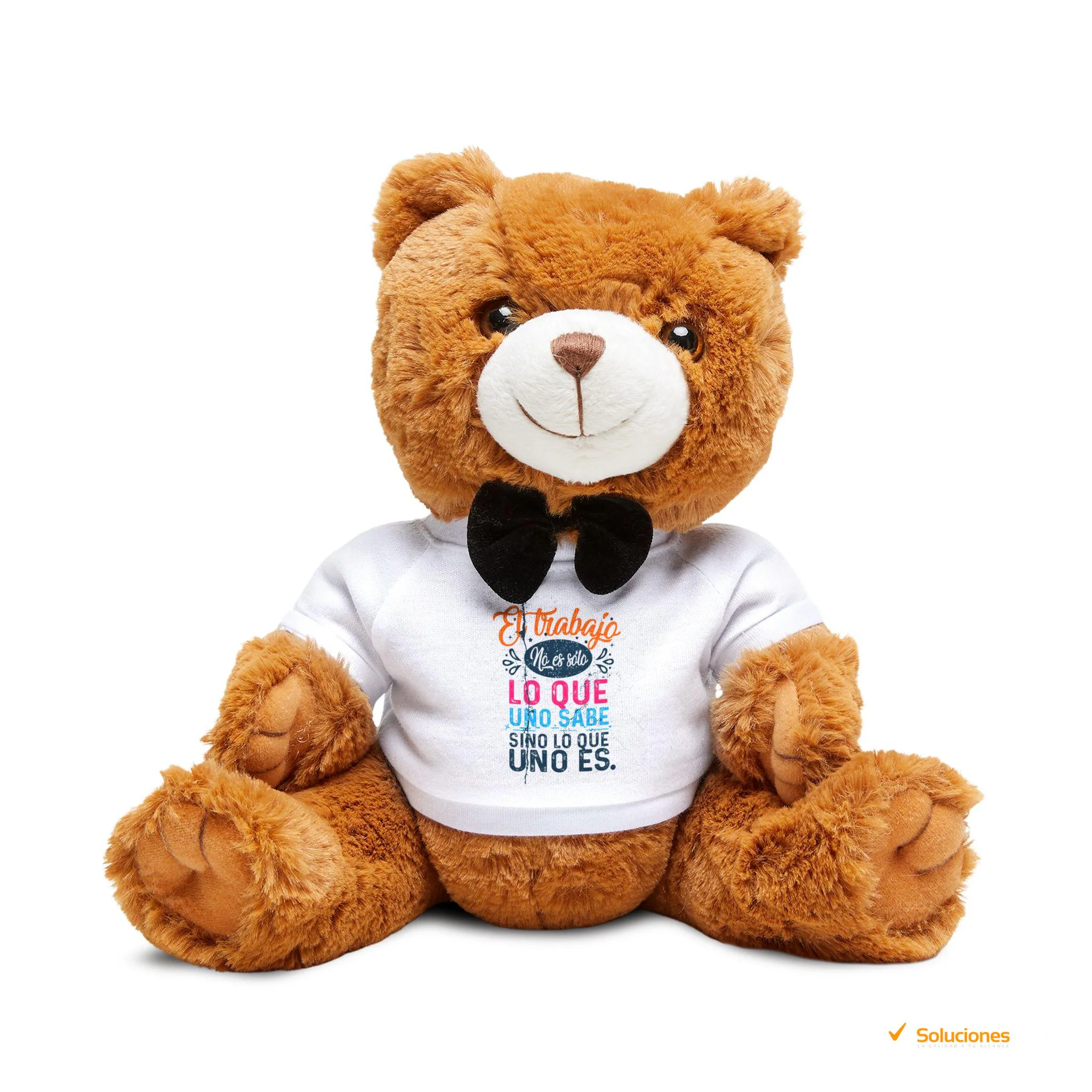 Osito de Peluche con Camiseta Personalizada – Regalo Perfecto con Tu Diseño o Mensaje