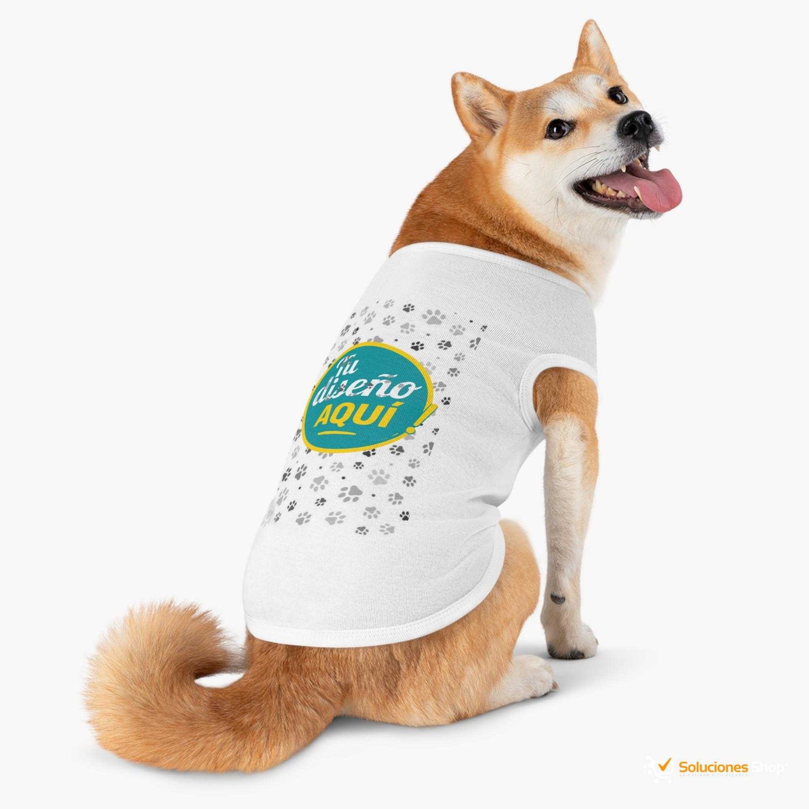 12823258188295225301_2048.jpeg 12823258188295225301_2048.jpeg