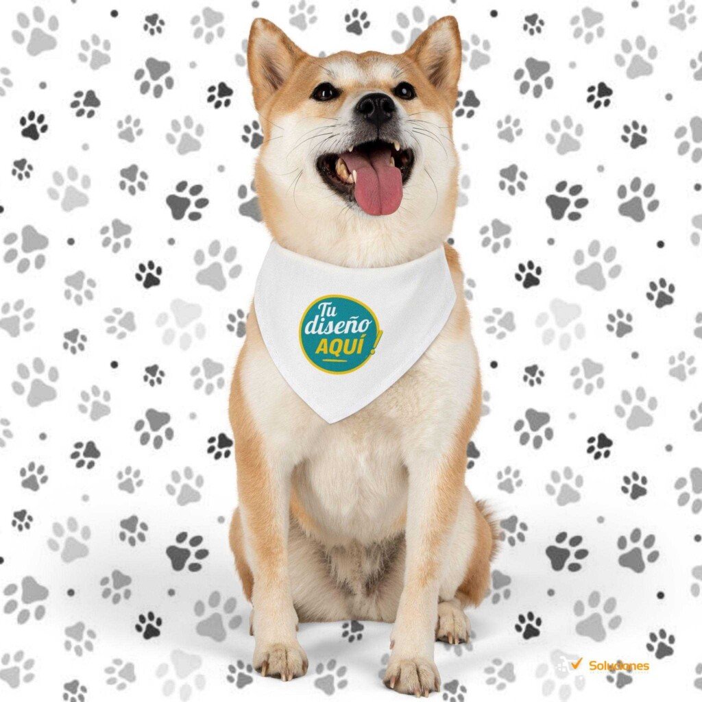 Pañoleta con collar para mascotas pequeñas – Personalízala con nombre o diseño