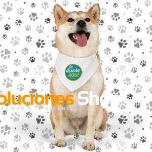 Pañoleta con collar para mascotas pequeñas – Personalízala con nombre o diseño